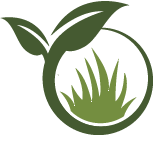 Olive Tree Planting Pros