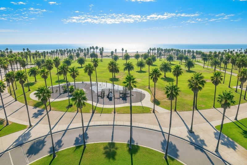 Olive Grove Landscape